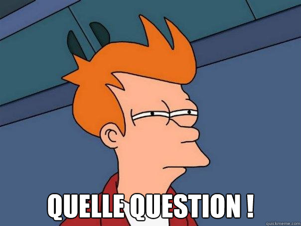  Quelle question !  Futurama Fry