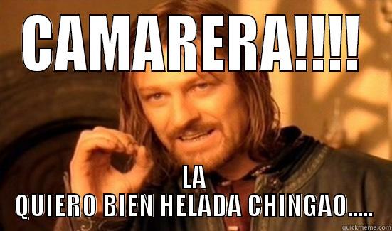 CAMARERA!!!! LA QUIERO BIEN HELADA CHINGAO..... Boromir