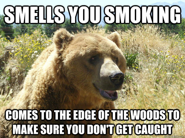 Smells you smoking Comes to the edge of the woods to make sure you don't get caught - Smells you smoking Comes to the edge of the woods to make sure you don't get caught  Good Guy Bear