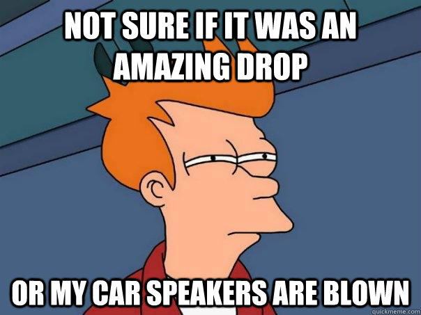 Not sure if it was an amazing drop Or my car speakers are blown  Futurama Fry