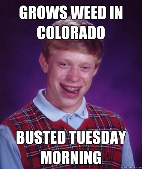 Grows weed in colorado busted tuesday morning  Bad Luck Brian