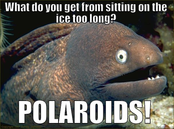 WHAT DO YOU GET FROM SITTING ON THE ICE TOO LONG? POLAROIDS! Bad Joke Eel