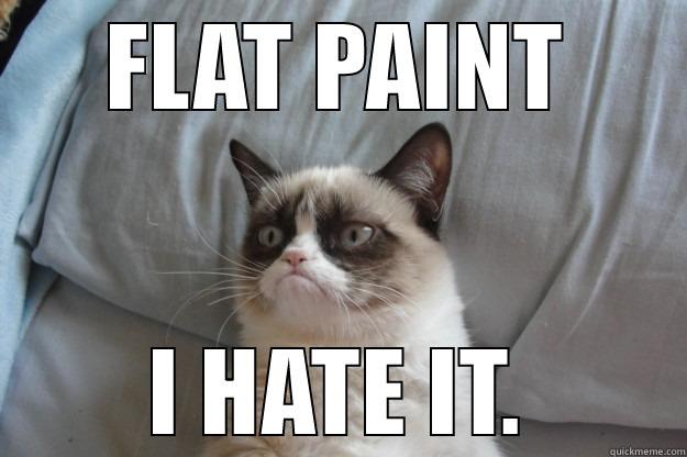 FLAT PAINT I HATE IT. Grumpy Cat