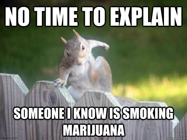 No time to explain Someone i know is smoking marijuana  Parkour Squirrel