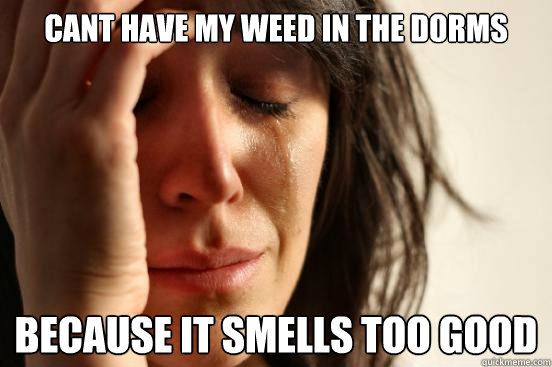 cant have my weed in the dorms because it smells too good  First World Problems