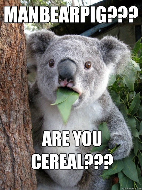 Manbearpig??? Are you cereal??? - Manbearpig??? Are you cereal???  koala bear