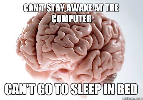 Can't stay awake at the computer Can't go to sleep in bed  Scumbag Brain