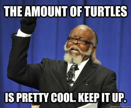 The amount of turtles is pretty cool. keep it up.  Too Damn High