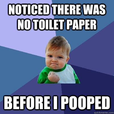 noticed there was no toilet paper before i pooped  Success Kid