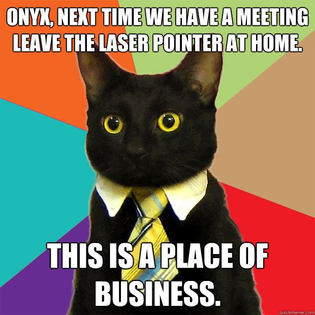 Onyx, next time we have a meeting leave the laser pointer at home. this is a place of business.  Business Cat