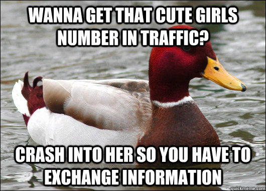 Wanna get that cute girls number in traffic? crash into her so you have to exchange information  Malicious Advice Mallard