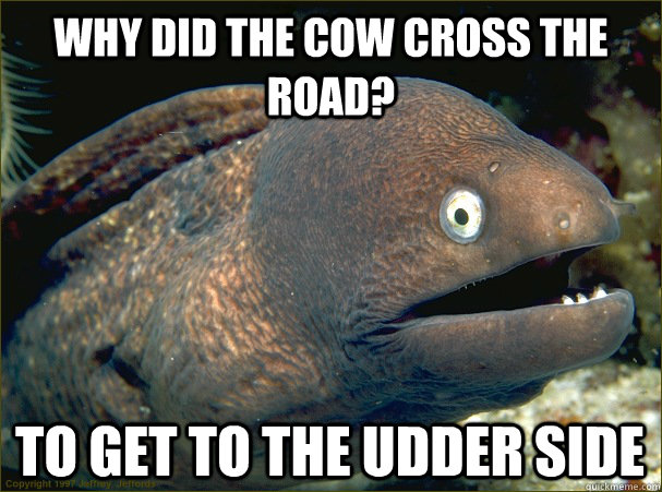 Why did the cow cross the road? To get to the udder side  Bad Joke Eel