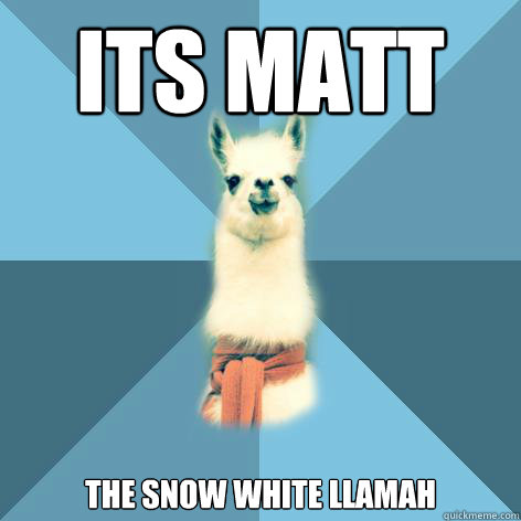 ITS MATT 
 THE SNOW WHITE LLAMAH  Linguist Llama