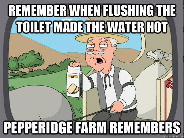 remember when flushing the toilet made the water hot  Pepperidge farm remembers  Pepperidge Farm Remembers