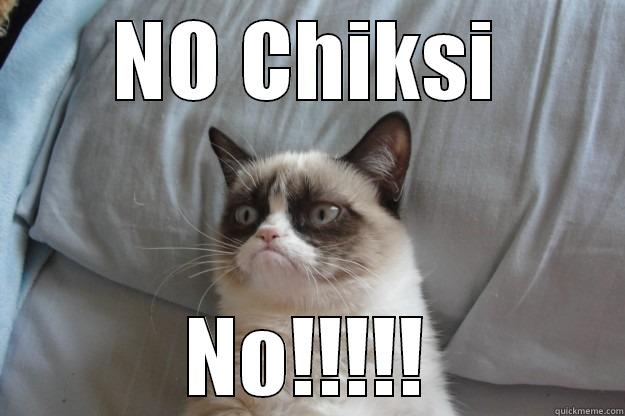 NO CHIKSI NO!!!!! Grumpy Cat