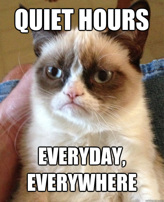 QUIET HOURS Everyday, Everywhere  Grumpy Cat