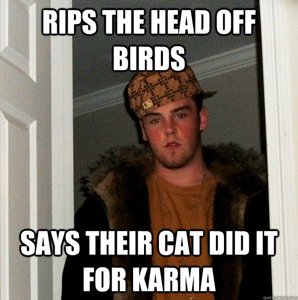 Rips the head off birds Says their cat did it for karma  Scumbag Steve