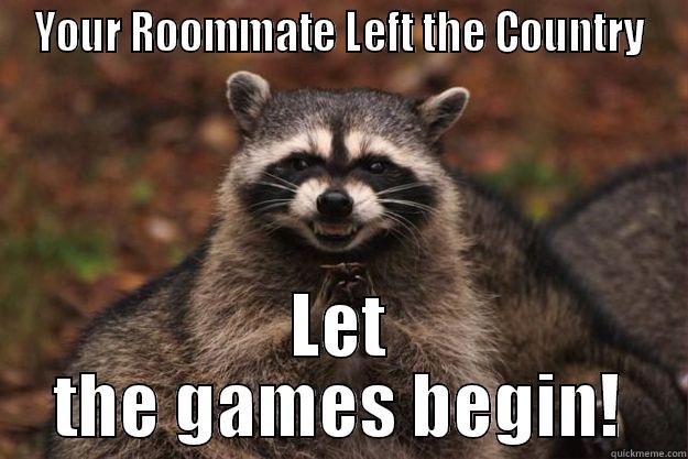 YOUR ROOMMATE LEFT THE COUNTRY LET THE GAMES BEGIN! Evil Plotting Raccoon