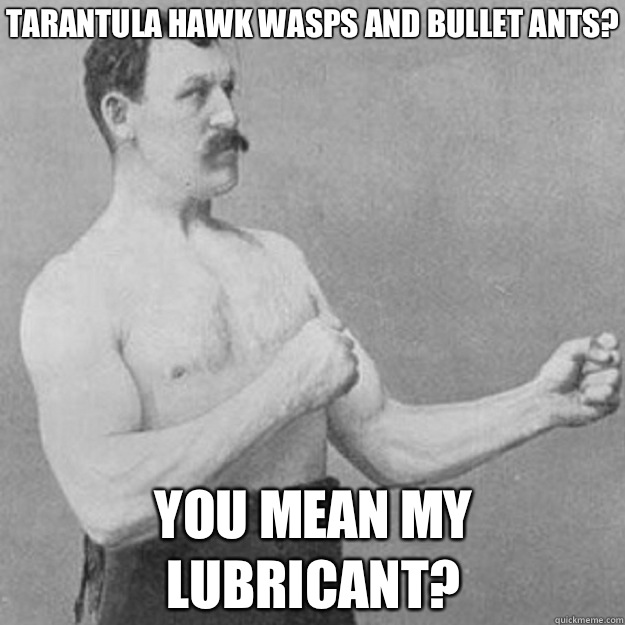 Tarantula Hawk Wasps And Bullet Ants? YOU MEAN MY LUBRICANT?  overly manly man