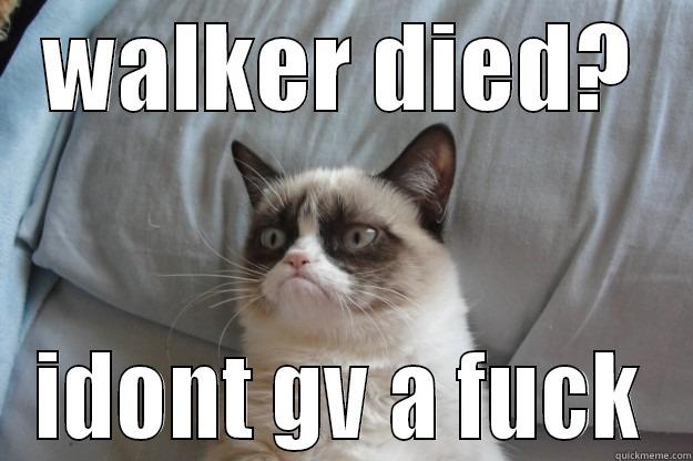 WALKER DIED? IDONT GV A FUCK Grumpy Cat