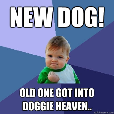 New dog! Old one got into doggie heaven.. - New dog! Old one got into doggie heaven..  Success Kid