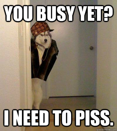 YOU BUSY YET? I NEED TO PISS.  Scumbag dog