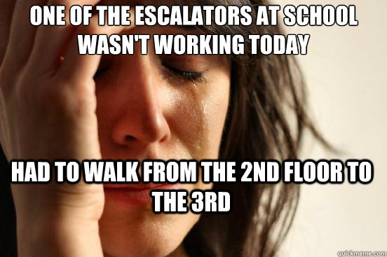 one of the escalators at school wasn't working today Had to walk from the 2nd floor to the 3rd - one of the escalators at school wasn't working today Had to walk from the 2nd floor to the 3rd  First World Problems