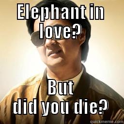 ELEPHANT IN LOVE? BUT DID YOU DIE? Mr Chow