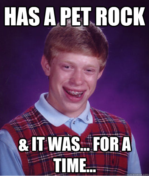 Has a Pet rock & it was... for a time...  Bad Luck Brian