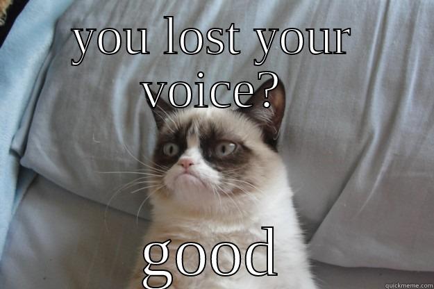 YOU LOST YOUR VOICE? GOOD Grumpy Cat