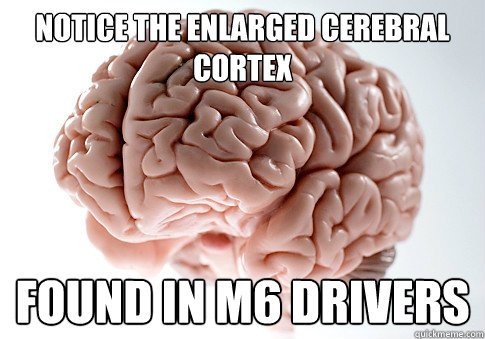 notice the enlarged cerebral cortex found in m6 drivers - notice the enlarged cerebral cortex found in m6 drivers  Scumbag Brain