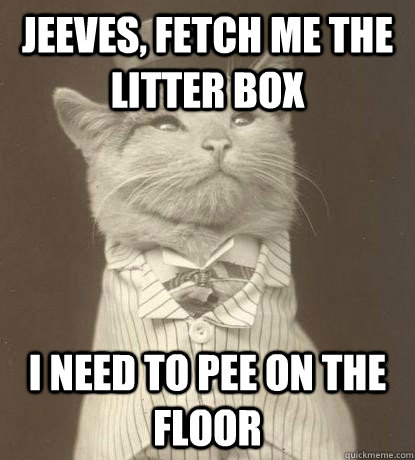 Jeeves, Fetch me the litter box I need to pee on the floor  Aristocat