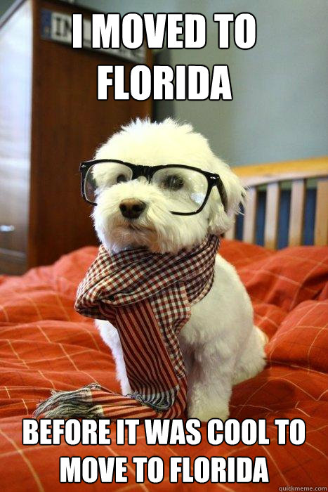 I moved to Florida before it was cool to move to florida  Hipster Dog