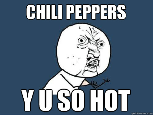 Chili peppers y u so hot  Y U No