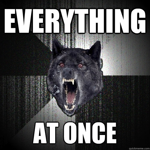 Everything At once  Insanity Wolf