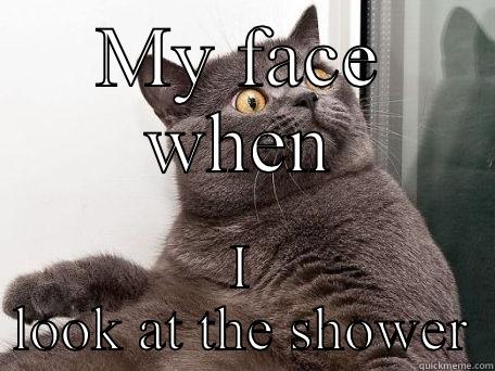 MY FACE WHEN I LOOK AT THE SHOWER conspiracy cat