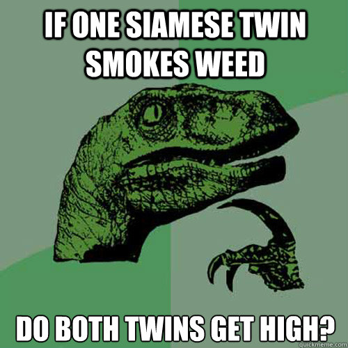 If one siamese twin smokes weed Do both twins get high?  Philosoraptor