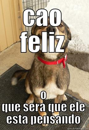 CAO FELIZ O QUE SERA QUE ELE ESTA PENSANDO Good Dog Greg