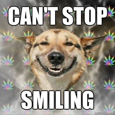 CAN'T STOP SMILIng - CAN'T STOP SMILIng  Stoner Dog