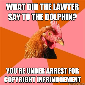 What did the lawyer say to the dolphin? You're under arrest for copyright infrindgement  Anti-Joke Chicken