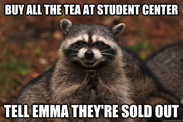 Buy all the tea at student center Tell emma they're sold out  Evil Plotting Raccoon