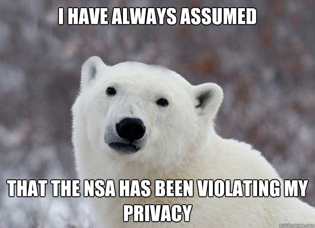 I have always assumed  That the NSA has been violating my privacy  Popular Opinion Polar Bear