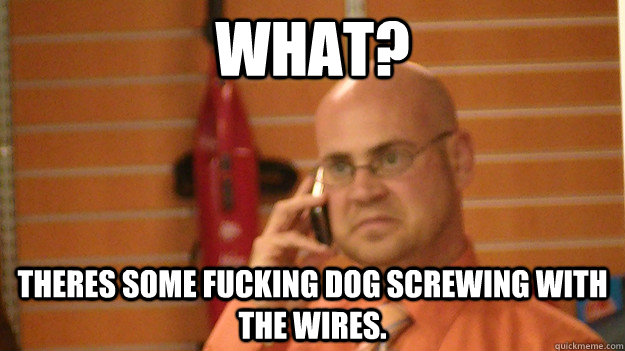 What? Theres some fucking dog screwing with the wires.  - What? Theres some fucking dog screwing with the wires.   NotDog