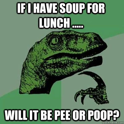 If i have soup for lunch ..... Will it be pee or poop?  - If i have soup for lunch ..... Will it be pee or poop?   Philosoraptor