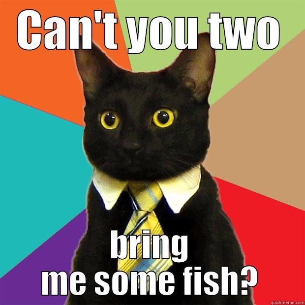 CAN'T YOU TWO BRING ME SOME FISH? Business Cat