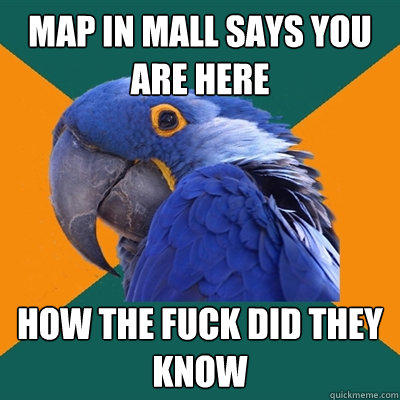 Map in mall says YOU ARE HERE HOW THE FUCK DID THEY KNOW - Map in mall says YOU ARE HERE HOW THE FUCK DID THEY KNOW  Paranoid Parrot