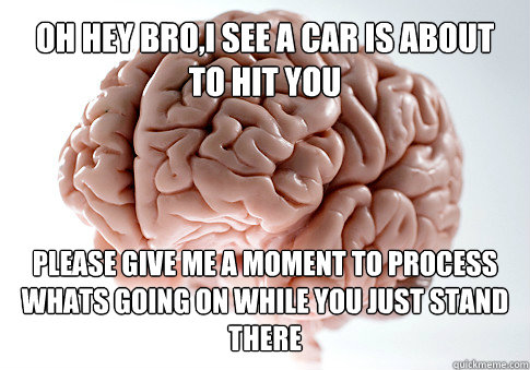 OH HEY BRO,I see a car is about to hit you please give me a moment to process whats going on while you just stand there  Get the [AdviceAnimals Chrome extension!](http://www.livememe.com/extension) - OH HEY BRO,I see a car is about to hit you please give me a moment to process whats going on while you just stand there  Get the [AdviceAnimals Chrome extension!](http://www.livememe.com/extension)  Scumbag Brain