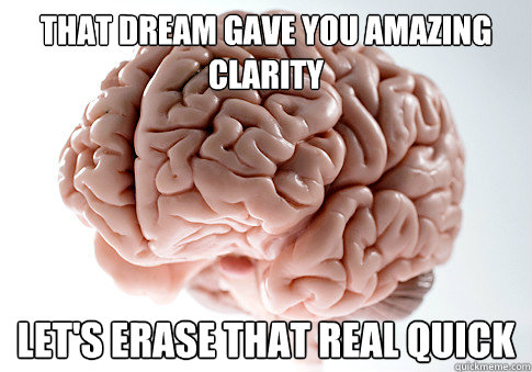 that dream gave you amazing clarity let's erase that real quick  Scumbag Brain