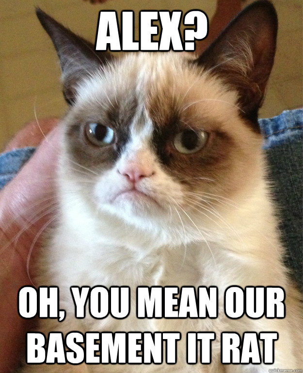 Alex? Oh, you mean our basement IT rat  Grumpy Cat