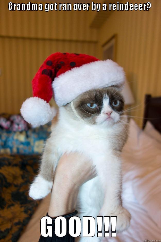 A Grumpy Cat Christmas! 002 - GRANDMA GOT RAN OVER BY A REINDEEER? GOOD!!! Grumpy xmas